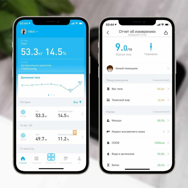 Напольные весы Picooc Mini Lite (черный)