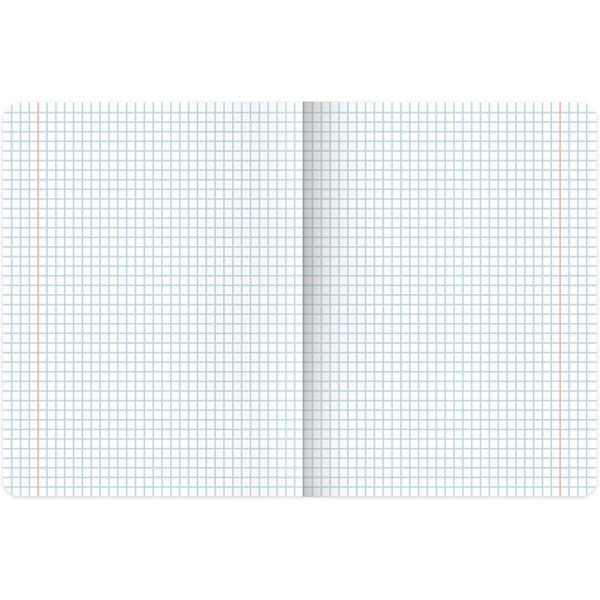 Тетради предметные BRAUBERG 404840 (КОМПЛЕКТ 12 ПРЕДМЕТОВ, 48л, покрытие твин-лак)