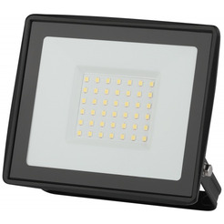 Уличный прожектор ЭРА LPR-023-0-65K-050