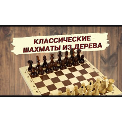 Шахматы Десятое королевство 02845