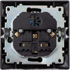 Розетка TDM Electric Лама SQ1815-0669