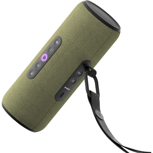 Портативная Умная колонка Яндекс.Станция Стрит YNDX-00030GRN (зеленый)