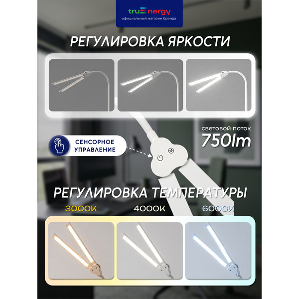 Светильник TRUENERGY TASK 29553