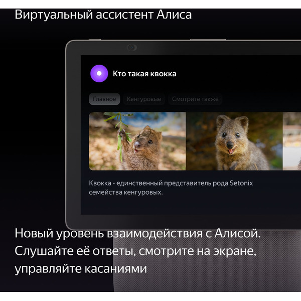 Умная колонка Яндекс Станция Дуо Макс (YNDX-00055BIE) бежевый