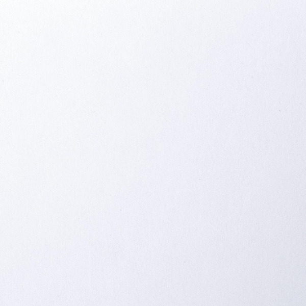 Папка для рисования BRAUBERG 125230