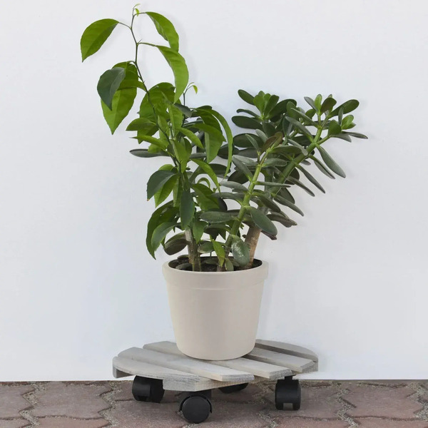 Стойка для цветов Dipriz Круглая / Д.7476.4 (серый бейц Pant 5C, сосна)