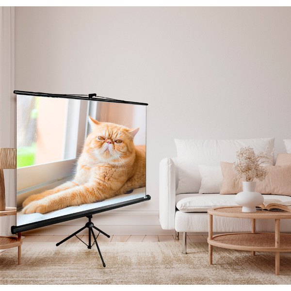 Экран CACTUS Triscreen CS-PST-127X127