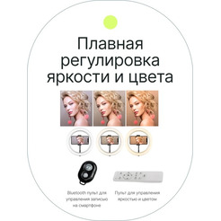 Кольцевая лампа Raylab RL-0118 Kit