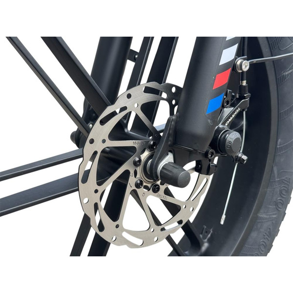 Электровелосипед Smart Balance Panda 20" (серый)