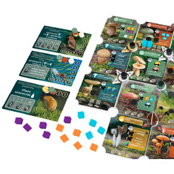 Настольная игра Hobby World Грибы и корни 952039