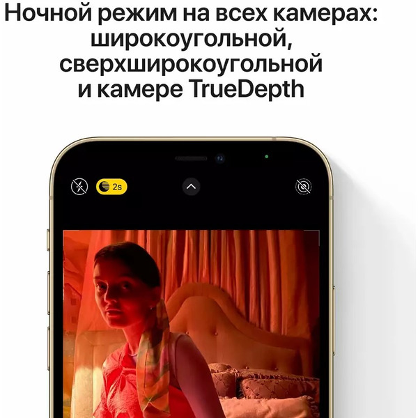 Смартфон Б/У (грейд В) Apple iPhone 12 Pro 256GB Gold (2BMGMR3)