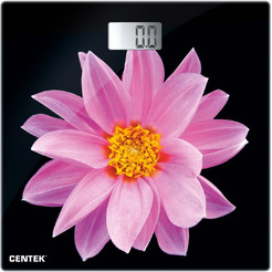 Напольные весы CENTEK CT-2416 Pink Flower