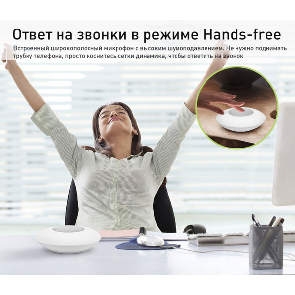 Беспроводная колонка Evolution X6