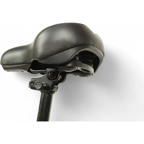 Электровелосипед SAMEBIKE City Master MY-E04 (черный)