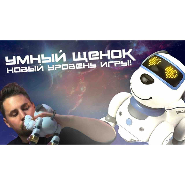 Радиоуправляемая игрушка Ausini Щенок BG1533-GD