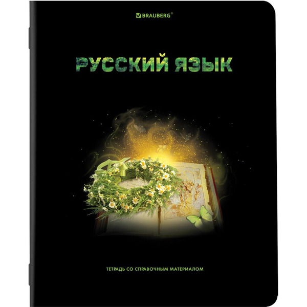 Тетради предметные BRAUBERG 404324 (КОМПЛЕКТ 12 ПРЕДМЕТОВ, 48л, глянцевый УФ-лак)