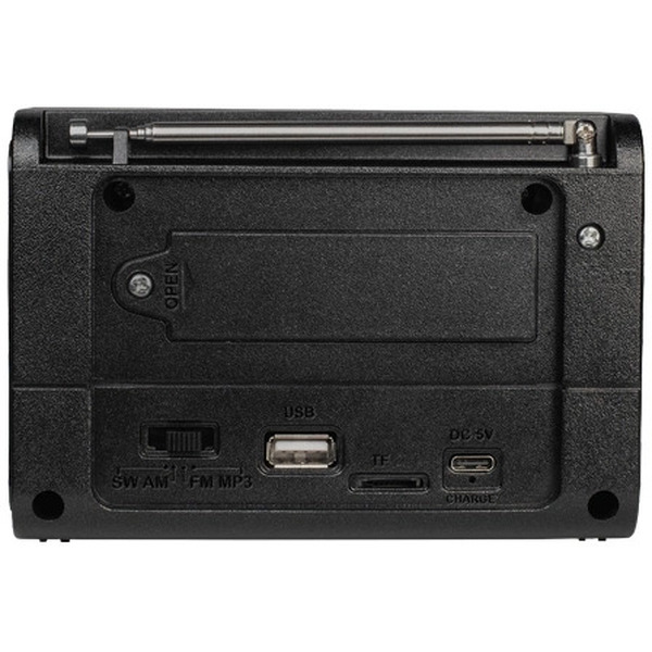 Радиоприемник Ritmix RPR-020
