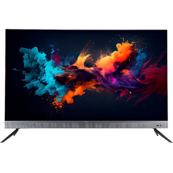 Телевизор EVOLUTION WOS55MR1SBUHD