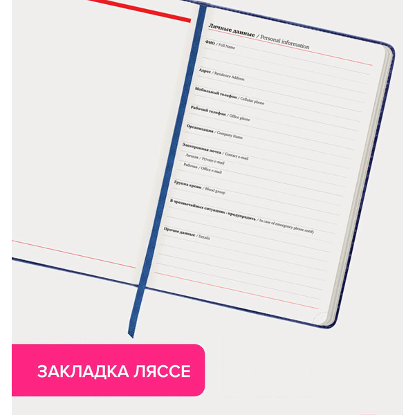 Ежедневник BRAUBERG недатированный Status 113359 (темно-синий)