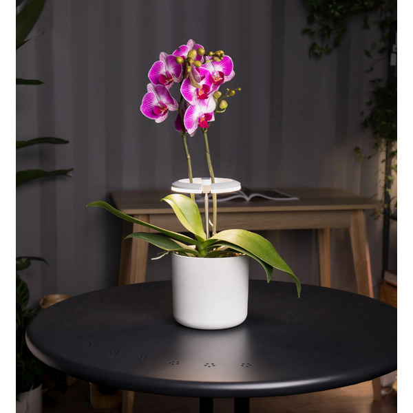 Светильник фито Cactus CS-LED-ORCHID
