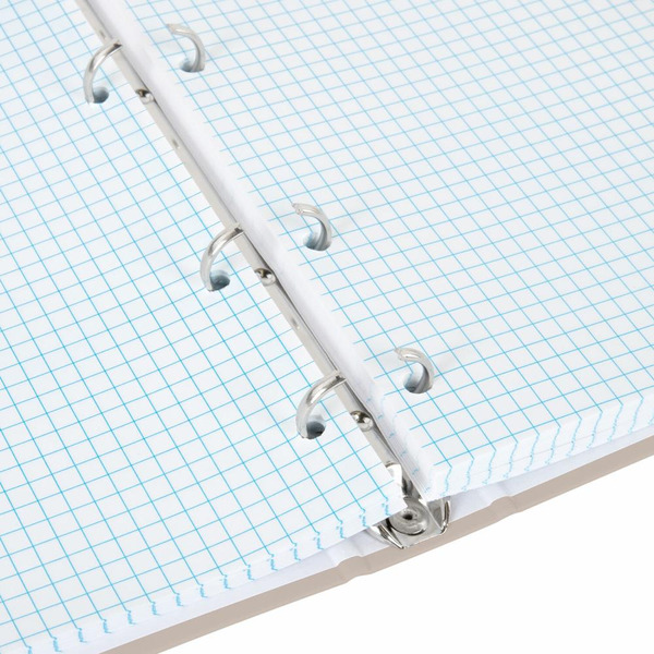 Тетрадь BRAUBERG 404997 на кольцах А5 175х215мм, 120л, твердый картон, клетка