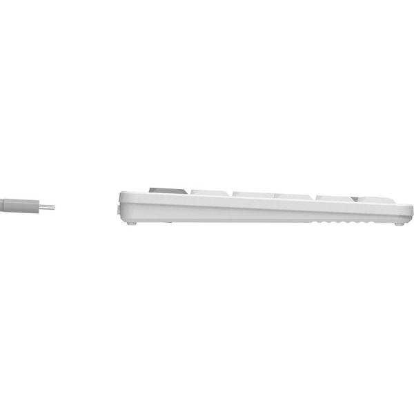 Клавиатура A4Tech Fstyler FBX55C (белый)