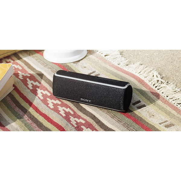 Беспроводная акустическая система SONY SRS-XB21 (черный)