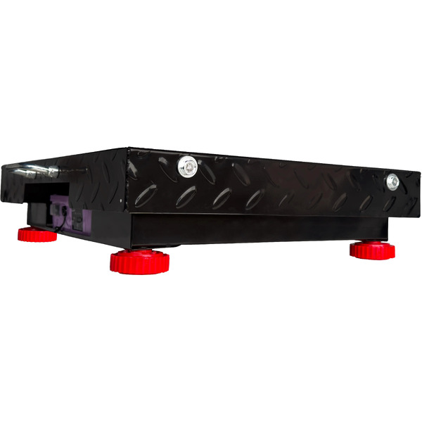 Весы платформенные Shtapler PW 300 42x52 / 71070610
