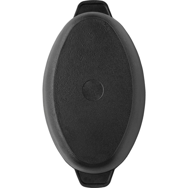 Гусятница Гардарика 1206-3