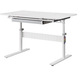 Комплект ученический Ergosmart Smart 100 E603-E611-E511