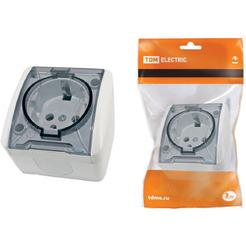 Розетка TDM Селигер SQ1818-0007