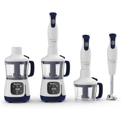 Погружной блендер Moulinex Yummy Gourmet DD55W110