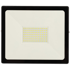 Прожектор цветного свечения REXANT 605-018 (зеленый) 100 Вт