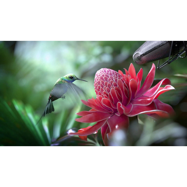 Телевизор TCL U65C7006