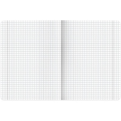 Тетради предметные BRAUBERG 405183 (КОМПЛЕКТ 12 ПРЕДМЕТОВ, 48л, SoftTouch)