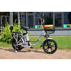 Электровелосипед Terax ROXY NS010