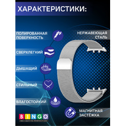Ремешок BINGO Magnetic для HONOR Watch 5 (серебристый)