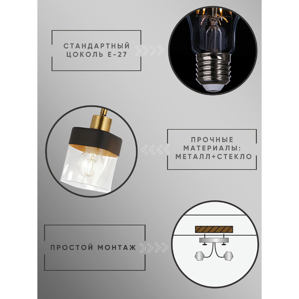 Люстра Aitin-Pro НПБ 02-3x60-102 2779/3 (черный)