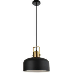 Подвесной светильник TruEnergy 21471