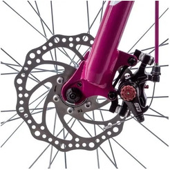 Велосипед Novatrack Jenny Pro D 2023 24SHD.JENNYPRO.14WT23 (белый)