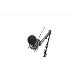 Микрофон Ritmix RDM-180