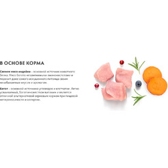 Сухой корм для кошек Grandorf Adult Fresh Turkey&Sweet Potato (2кг)