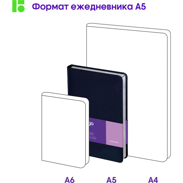 Ежедневник Berlingo Silver Pristine A5 / UD0_82503 (160л, синий)