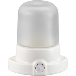 Светильник ЖКХ General Lighting Для сауны GCF-SNC-60-E27-IP65-W