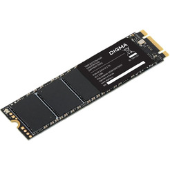 Накопитель SSD Digma DGSR1002TS93T