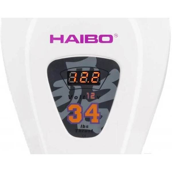 Мотор лодочный Haibo D34 12V