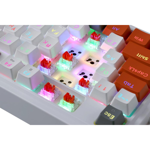 Клавиатура Redragon Gloria (72216)