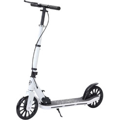 Самокат городской Ricos Dart JSCT1 (белый)