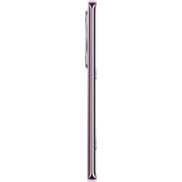 Смартфон Honor X9c (BRP-NX1) 8GB/256GB Titanium Purple