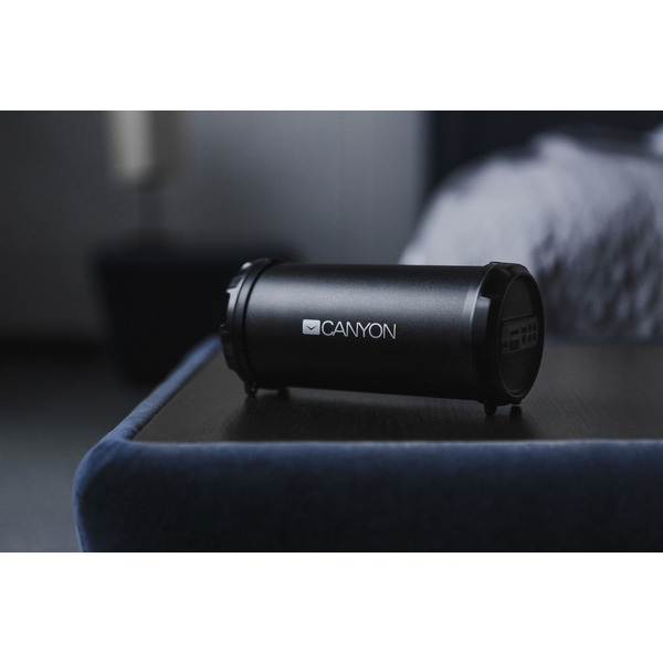 Портативная колонка Canyon CNE-CBTSP5